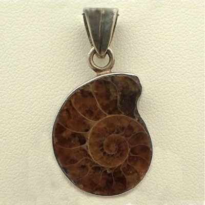 Colgante Ammonite Colgante Ammonite