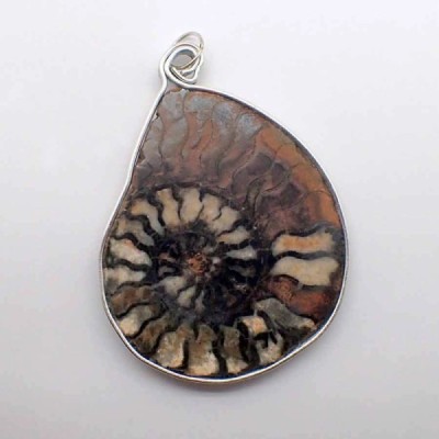 Colgante Ammonite Colgante Ammonite