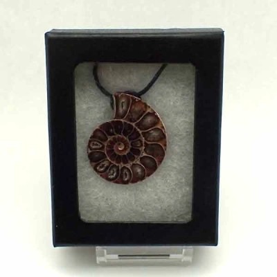 Colgante Ammonite Colgante Ammonite
