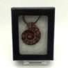  Colgante Ammonite