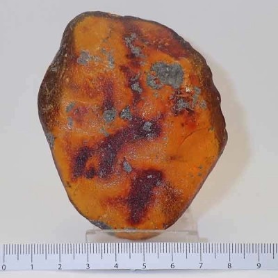 Ámbar Ámbar