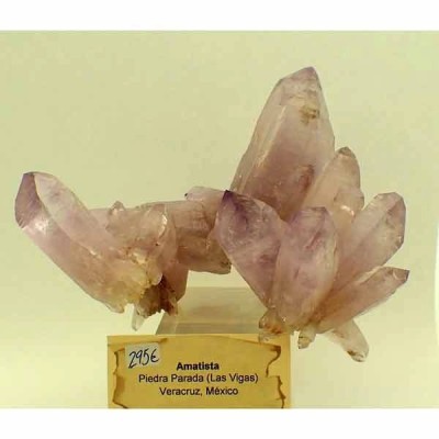 Amatista Amatista