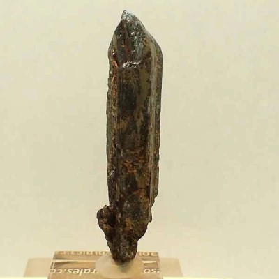 Estibinita Estibinita