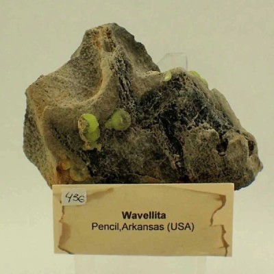 Wavellita