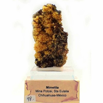 Mimetita Mimetita