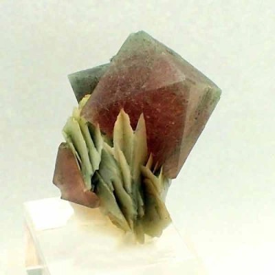 Fluorita rosa Fluorita rosa