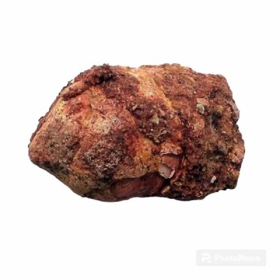 Coprolito de Dromaeosaurus Coprolito de Dromaeosaurus