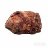 Coprolito de Dromaeosaurus