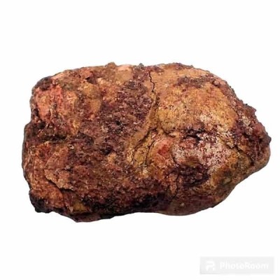 Coprolito de Dromaeosaurus Coprolito de Dromaeosaurus