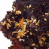  Wulfenita 