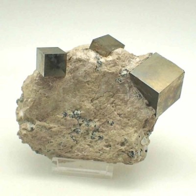 Pirita Pirita