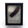  Meteorito NWA 11518