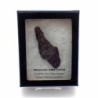  Meteorito NWA 11518