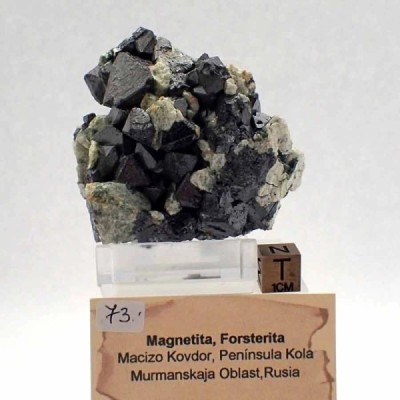 Magnetita Magnetita