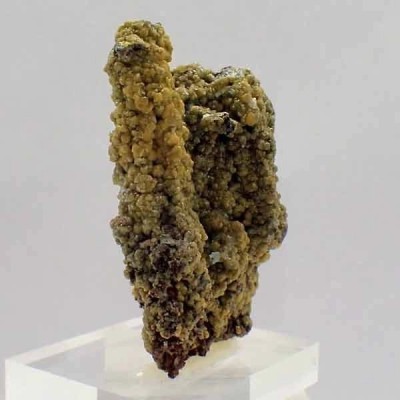 Willemita Willemita