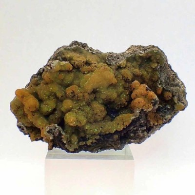 Smithsonita Smithsonita