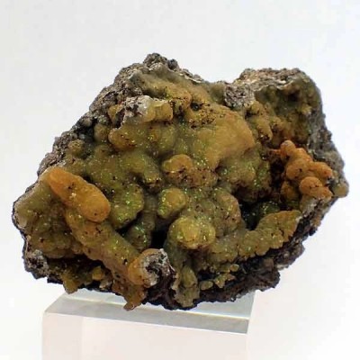 Smithsonita Smithsonita