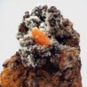  Wulfenita