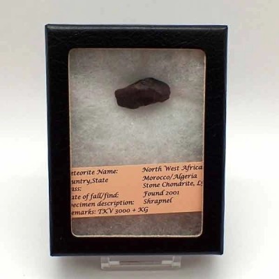 Meteorito NWA 869 Meteorito NWA 869