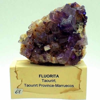 Fluorita Fluorita