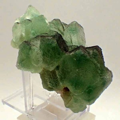 Fluorita Fluorita