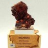  Wulfenita 