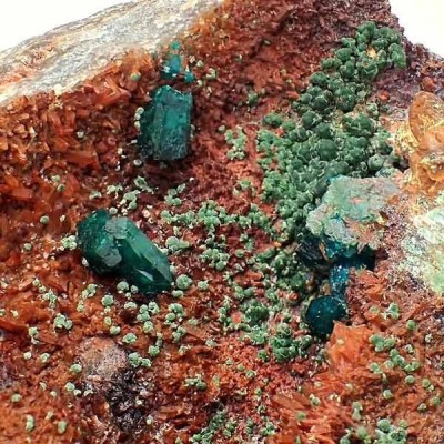 Dioptasa Dioptasa