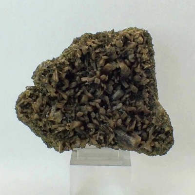 Clinozoisita Clinozoisita