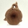  Enchodus libycus (Vertebra)