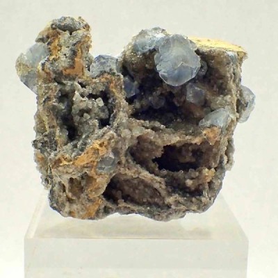 Celestina Celestina