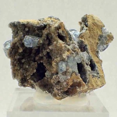 Celestina Celestina