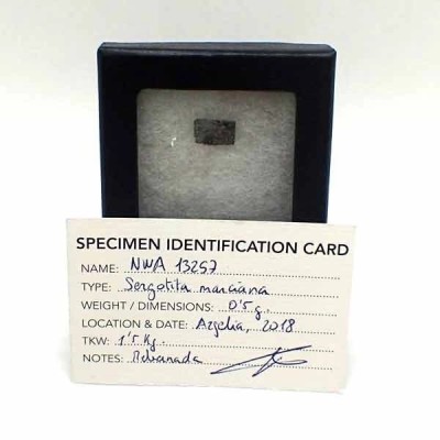 NWA13257 NWA13257