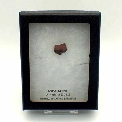 NWA 14279 (Winonaita) NWA 14279 (Winonaita)