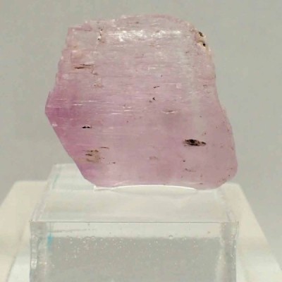 Espodumena Var Espodumena Var