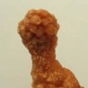  Aragonito