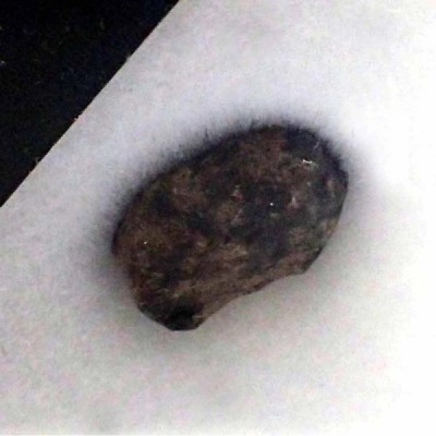 Shergottita-Meteorito Marciano Shergottita-Meteorito Marciano