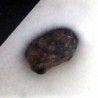 Shergottita-Meteorito Marciano