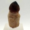 Mososaurus:Globidens aegypticus