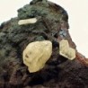 Cerusita