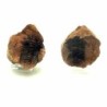  Diacalymene ouzregui