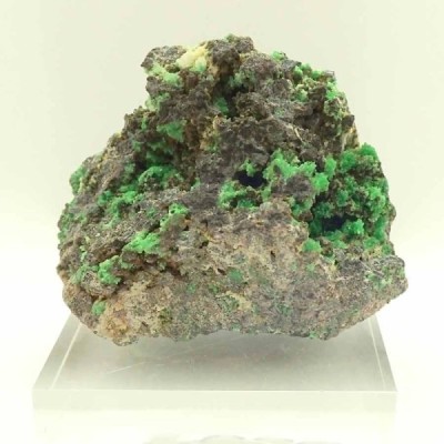 Annabergita Annabergita