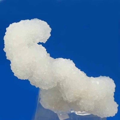 Calcedonia Calcedonia