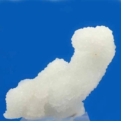 Calcedonia Calcedonia