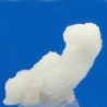  Calcedonia
