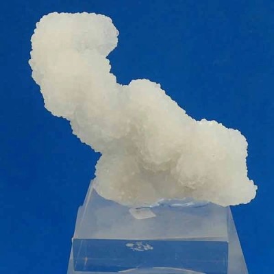 Calcedonia Calcedonia