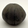 Eucosmus caraboeufi