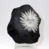 Piedra Crisantemo