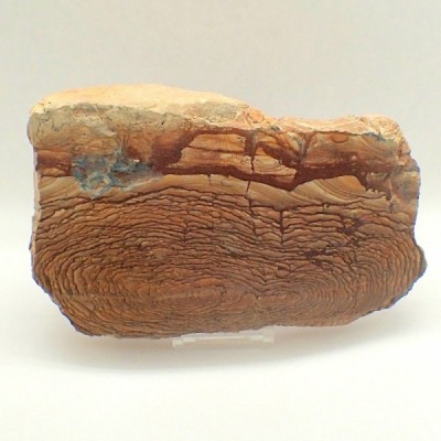 Decoración de colección Piedra Paesina - D46 Decoración de colección Piedra Paesina - D46