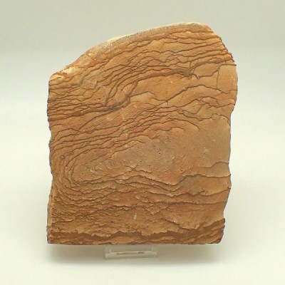 Paesina stone D59 Paesina stone D59