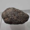 NWA12269,Martian shergottite